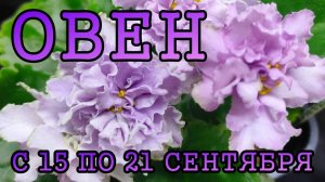 ОВЕН таро прогноз на неделю с 15 по 21 СЕНТЯБРЯ 2025 года.