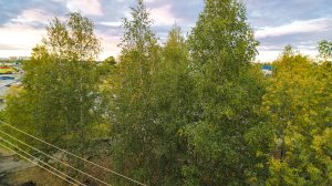 9765833 Островского 42