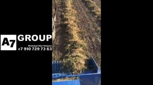 Комбайн прицепной для фасоли, нута и чечевицы. Произво