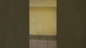 VID_20250910_151254.mp4