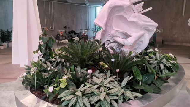 Павильон Цветоводство, выставка с тараканами, жуками ? смотреть онлайн