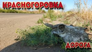 Красногоровка - дорога домой (церковь, кладбище и т.д.).mp4