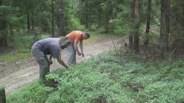 2016 5-7 июля поход на Нерскую 7