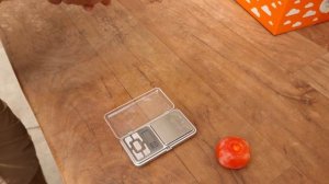 Созрела хурма Дар Софиевки, очень рано.