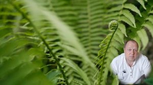 Вся Ботаника №7: Папоротники - мхи наоборот