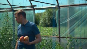 Как превратить ОГОРОД в настоящий бизнес? Овощеводств