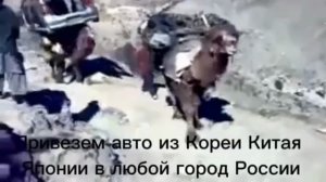 перевозка авто мем