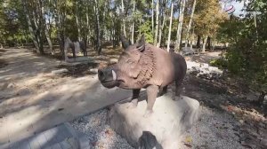 В Серпухове реконструкция парка «Питомник» выходит на финишную прямую