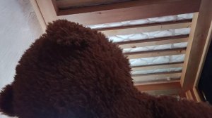 я заражён тёмной тьмой 1 часть