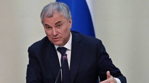 Володин: сервис "второй руки" поможет россиянам защитить средства от мошенников