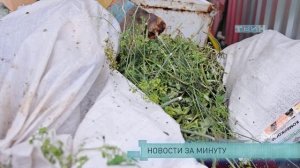 Новости за минуту