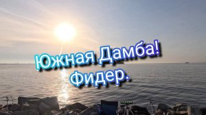 Рыбалка на Южной дамбе на фидер! (12.07.25)