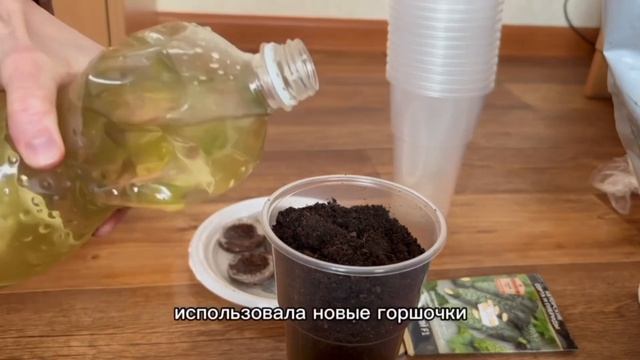 Огуречный переучет🥒 смотреть онлайн