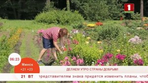 Утренние профессии. Научный сотрудник