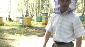 О пчеловодстве: зимовка ульев и защита от мышей. Урожа?