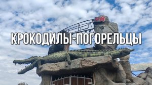 Крокодилы-погорельцы. «Вечерний Ейск» от 2025.09.10