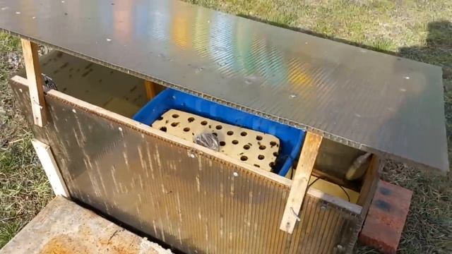 Бурный Старт Пчёл на Кубани!!! смотреть онлайн