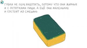 Ух ты, сократи! Поролоновые губки