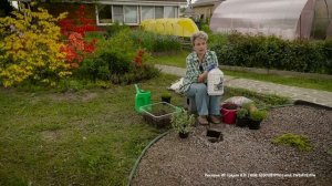 Как сделать клумбу без сорняков