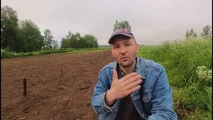 Как избавиться от сорняков на картофеле? Самый просто?