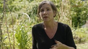 Сады вне времени. Анонс. Канал Загородный