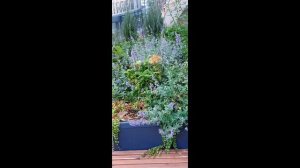 Здравствуй, осень!