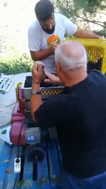 Вот как делают настоящее испанское вино!!!Финик смотри смотреть онлайн