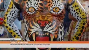 Необычный фестиваль тигров в Индии