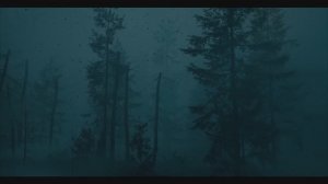 Pacific Drive Whispers in the Woods — трейлер дополнения