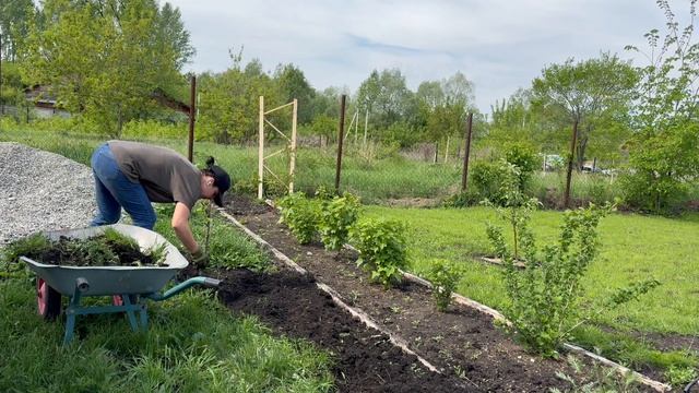 ВЛОГ недельный 🍀 / Покупки для дома и себя / Удачные по смотреть онлайн