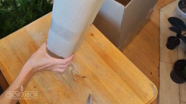 Упаковка растений для отправки в СДЭК.Как упаковать к?