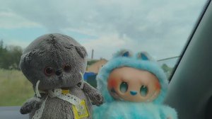 БАСИКИ НА ДАЧЕ 💙
К НАМ ПРИЕХАЛИ ГОСТИ?
ЛАБУБУ?
БАСИКИ БАСЯТА БАСИК КОТ БАСИК