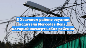 В Уватском районе осудили водителя Mercedes-Benz, который насмерть сбил ребенка