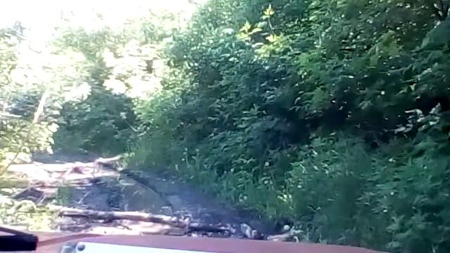 Колхозный сад смотреть онлайн