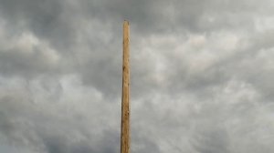 Шпалера для хмеля своими руками. Тест на парусность и ?