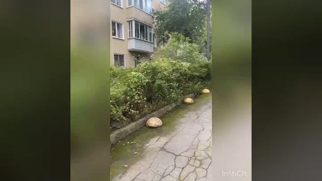 Московская 5