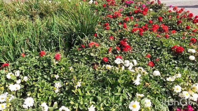 Прогулка по городу Новосибирску, шумно, машины.