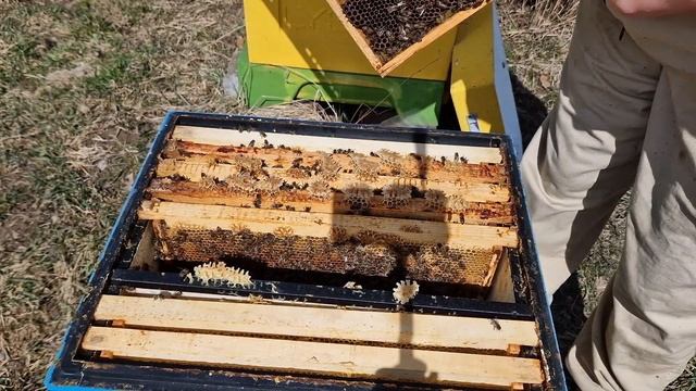 15 апреля подмосковье смотреть онлайн