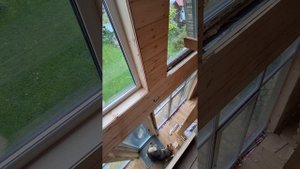 1000034172.mp4 (Собака наблюдает за устройством откосов у оконных проёмов в доме А-фрейм)