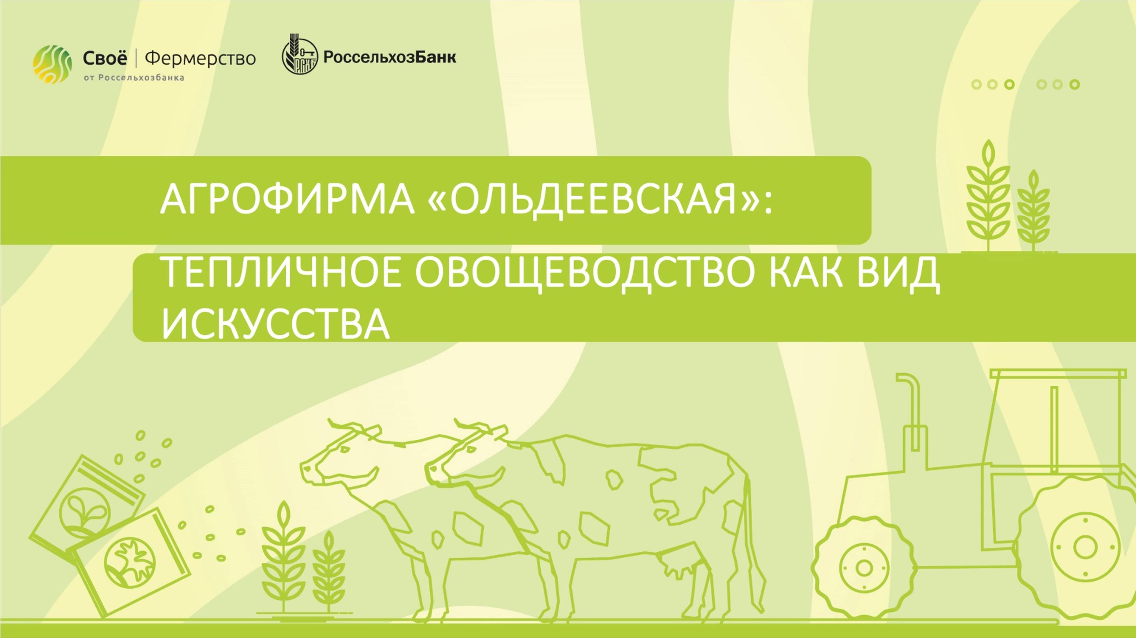 Агрофирма «Ольдеевская»: тепличное овощеводство как вид искусства