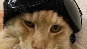 прохождение уровня в geometry gash под названием base after base с первой попытки