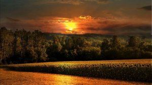 Природа шепчит мне секреты