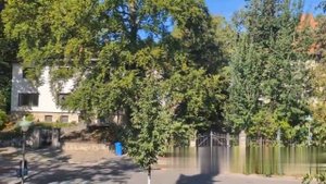 В Германии впервые за 30 лет в Берлине прозвучала воздушная тревога.