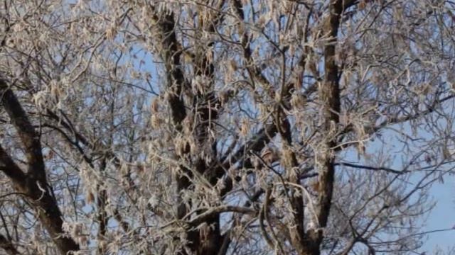 Забагрянился, затуманился - автор Рина Стоцкая исполняет Светлана Полыгалова смотреть онлайн