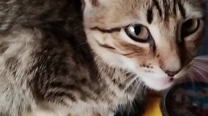 Папаша и мальчик