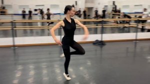 Лиана-круг тур пике