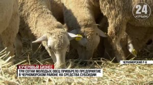 В Крыму выделили около 500 млн рублей на поддержку животноводства