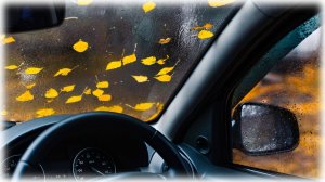 Не дай зиме заморозить твою ласточку! Эксперт раскрыл простую инструкцию по подготовке авто