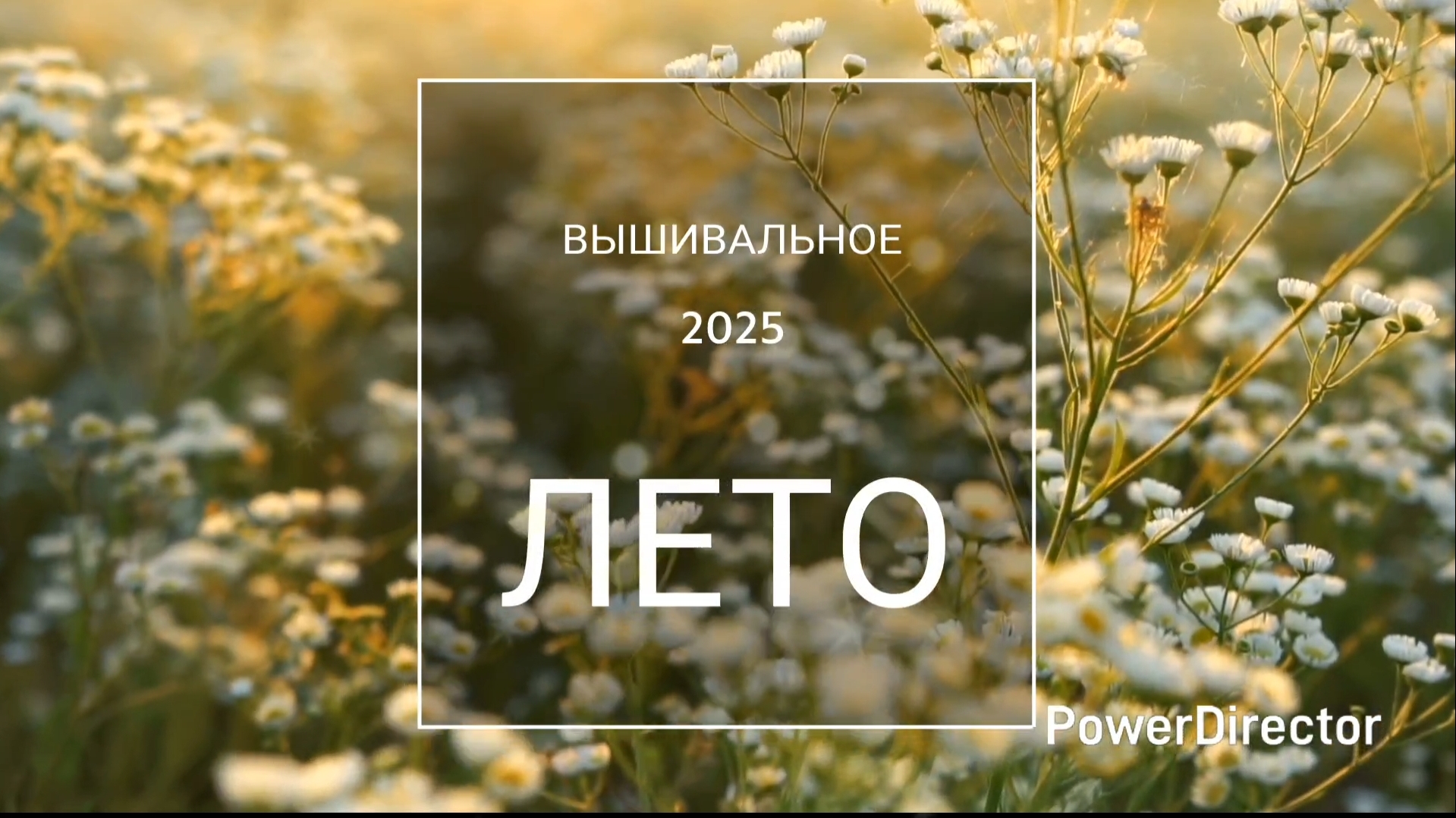 Вышивальное ЛЕТО/2025/ Вышивка/ Видеозарисовки