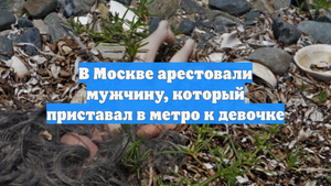В Москве арестовали мужчину, который приставал в метро к девочке